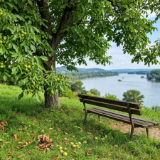 LEKOVITOST I PLODA I LISTOVA ORAHA